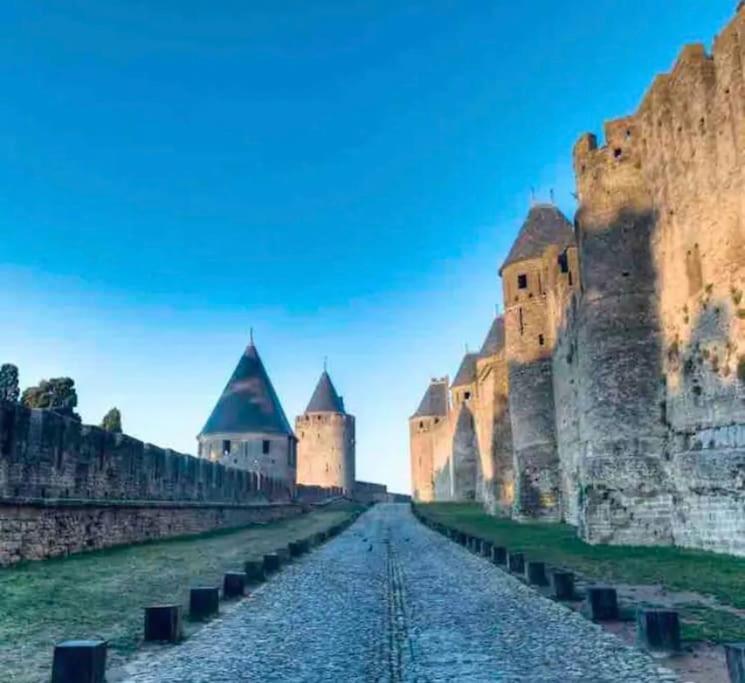 Appartement T2 Avec Vue Chateau Carcassonne Ngoại thất bức ảnh